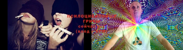 кокс Алексеевка