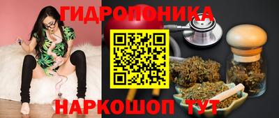 крисы Ярославль
