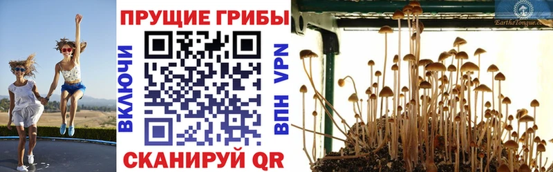 хочу наркоту  ссылка на мегу рабочий сайт  Галлюциногенные грибы Psilocybe  Морозовск 