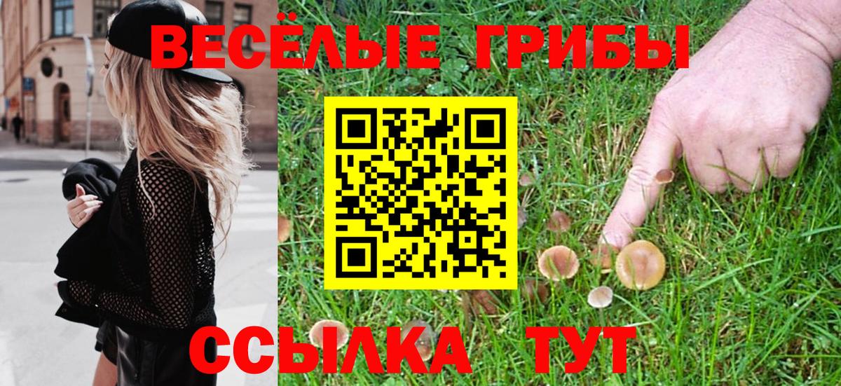 Морозовск  Галлюциногенные грибы GOLDEN TEACHER  Вход с VPN  Псилоцибиновые грибы Cubensis 